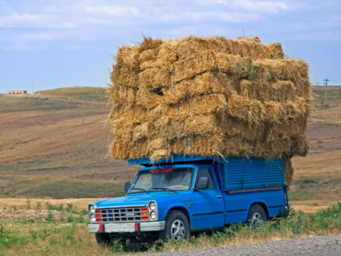 I had to move some hay